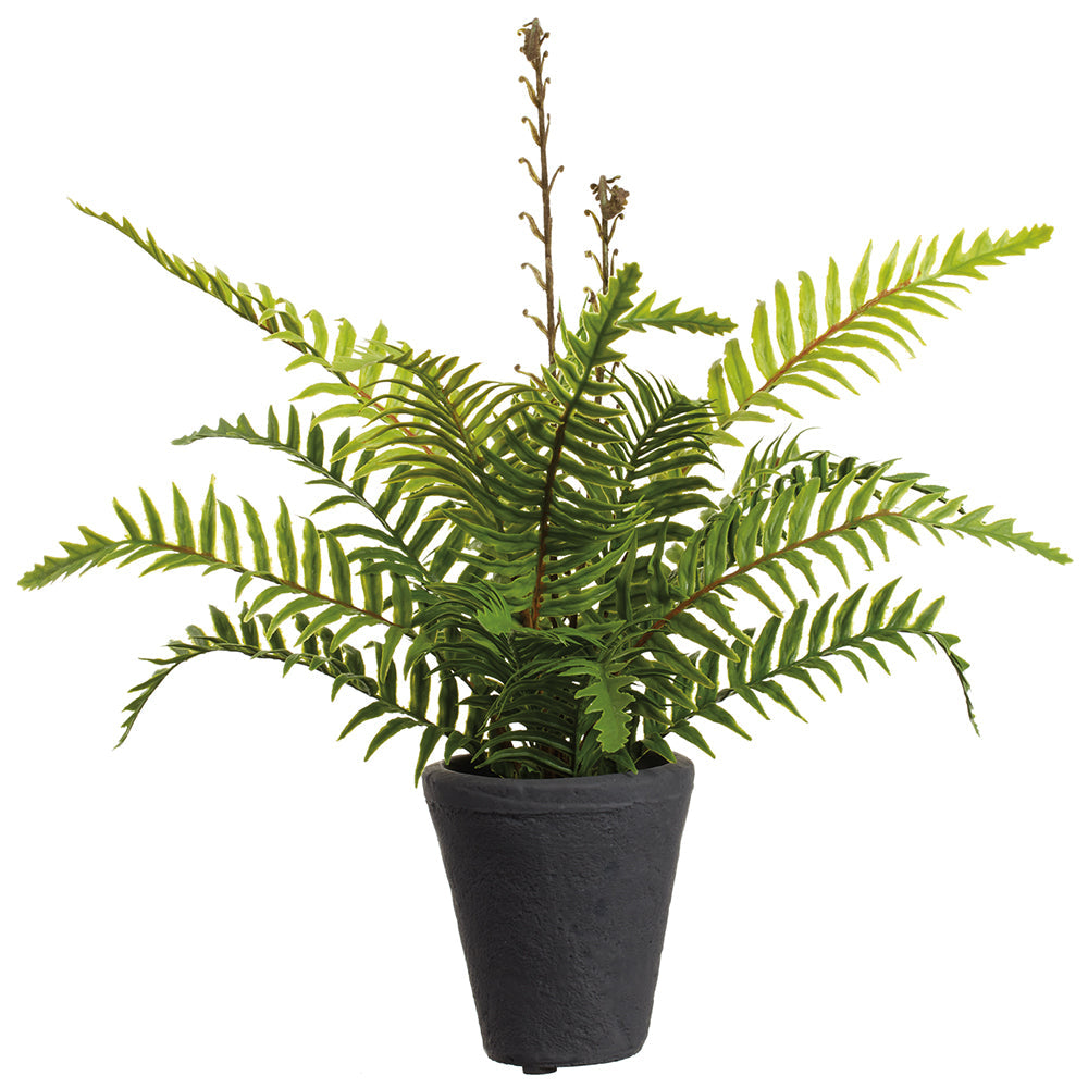 faux fern plant in pot 14" PE Soft-Touch Boston Fern Leaf Artificial Plant w/Cement Pot -Green (Pack of 4)