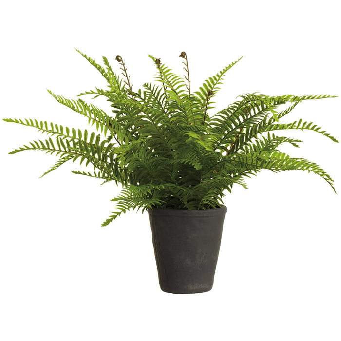 18.5" PE Soft-Touch Boston Fern Leaf Artificial Plant w/Cement Pot -Green (Pack of 2) - LQF727-GR