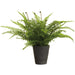 18.5" PE Soft-Touch Boston Fern Leaf Artificial Plant w/Cement Pot -Green (Pack of 2) - LQF727-GR