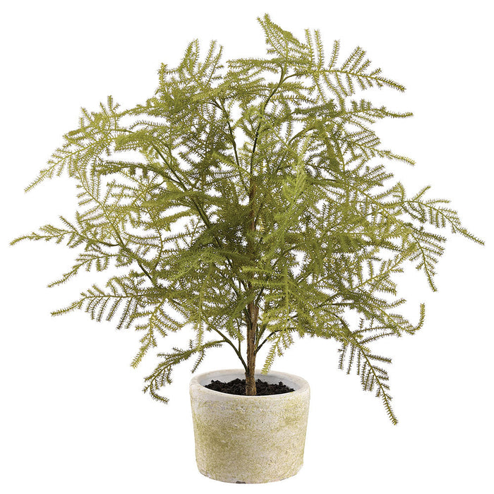20" Asparagus Fern Artificial Plant w/Clay Pot -Green (Pack of 4) - LQF751-GR