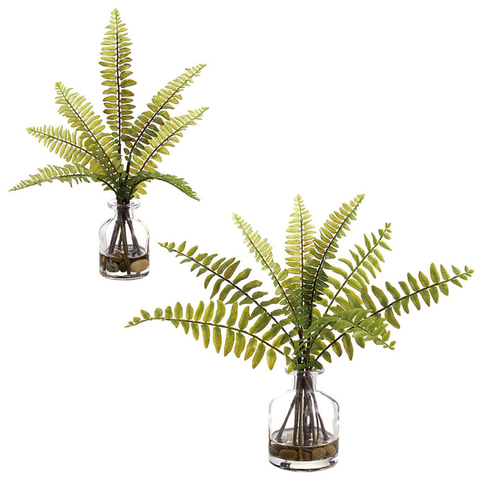 12" Set Of Artificial Boston Fern Plants w/Glass Vases -Green (Pack of 6) - LQF800-GR