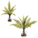 12" Set Of Artificial Boston Fern Plants w/Glass Vases -Green (Pack of 6) - LQF800-GR
