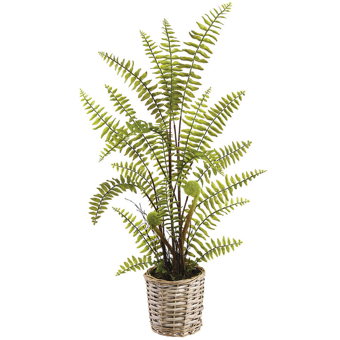 31" Boston Fern Artificial Plant w/Basket -Green (Pack of 4) - LQF803-GR