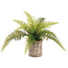 11" Leather Fern Artificial Plant w/Basket -Green (Pack of 4) - LQF809-GR