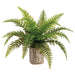 19" Leather Fern Artificial Plant w/Basket -Green (Pack of 4) - LQF810-GR