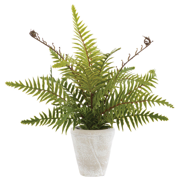 14" PE Boston Fern Artificial Plant w/Cement Pot -Green (Pack of 4) - LQF827-GR
