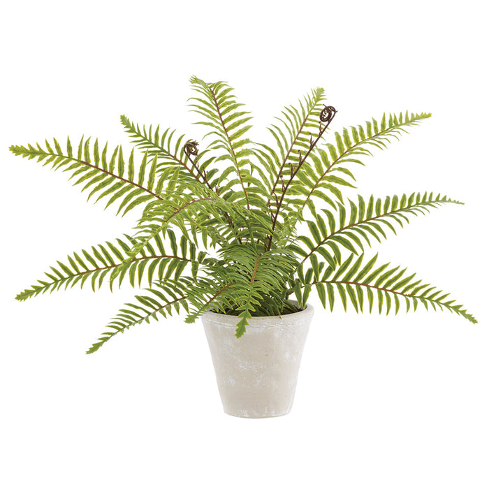 18" PE Boston Fern Artificial Plant w/Cement Pot -Green (Pack of 2) - LQF828-GR