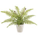 18" PE Boston Fern Artificial Plant w/Cement Pot -Green (Pack of 2) - LQF828-GR