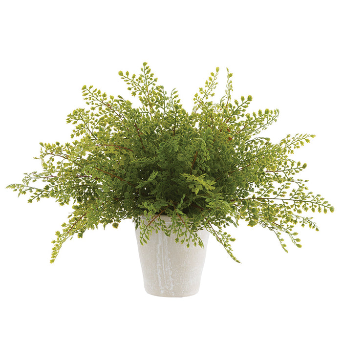 20" PE Maidenhair Fern Artificial Plant w/Cement Pot -Green (Pack of 2) - LQF830-GR