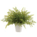 20" PE Maidenhair Fern Artificial Plant w/Cement Pot -Green (Pack of 2) - LQF830-GR