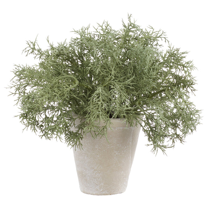 9" PE Sprengeri Fern Artificial Plant w/Cement Pot -Green/Gray (Pack of 4) - LQF832-GR/GY