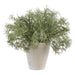 9" PE Sprengeri Fern Artificial Plant w/Cement Pot -Green/Gray (Pack of 4) - LQF832-GR/GY