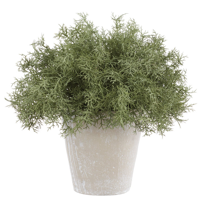 13" PE Sprengeri Fern Artificial Plant w/Cement Pot -Green/Gray (Pack of 2) - LQF833-GR/GY