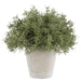 13" PE Sprengeri Fern Artificial Plant w/Cement Pot -Green/Gray (Pack of 2) - LQF833-GR/GY
