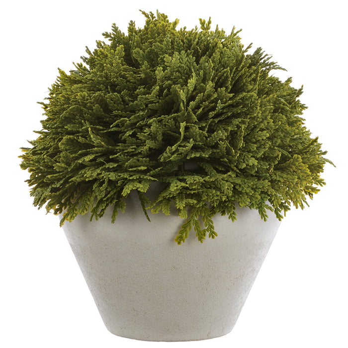 10" PE Spike Moss Artificial Plant w/Papier Mache Pot -Green (Pack of 2) - LQF844-GR