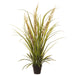 31" Blooming Pampas Grass Artificial Plant w/Plastic Pot -Tan/Green (pack of 4) - LQG056-TN/GR