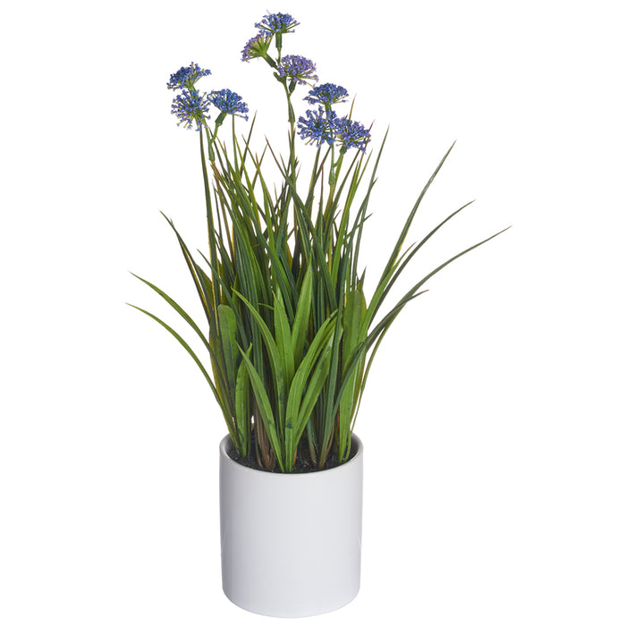 12" Blooming Grass Artificial Plant w/Ceramic Pot -Blue (pack of 6) - LQG170-PU/BL