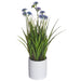 12" Blooming Grass Artificial Plant w/Ceramic Pot -Blue (pack of 6) - LQG170-PU/BL
