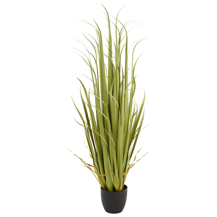 5' Artificial Reed Grass Plant w/Pot -Light Green (pack of 2) - LQG200-GR/LT