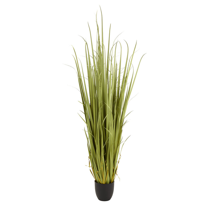 7' Artificial Reed Grass Plant w/Pot -Light Green - LQG203-GR/LT