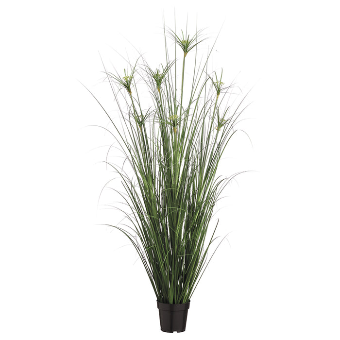 5' Artificial Papyrus Grass Plant w/Pot -Green (pack of 2) - LQG352-GR