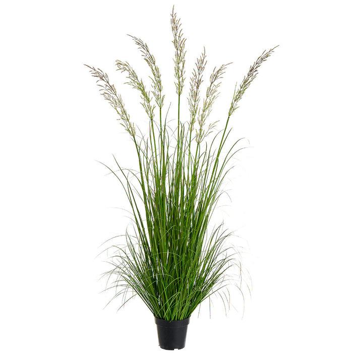 4'11" Wheat Grass Artificial Plant w/Plastic Pot -Green (Pack of 6) - LQG453-GR