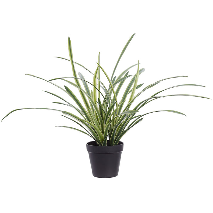 18" Lily Turf Grass Artificial Plant w/Plastic Pot -Green/Variegated (Pack of 6) - LQG553-GR/VG