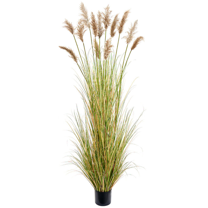 9'2" Pampas Grass Artificial Plant w/Plastic Pot -Tan (pack of 2) - LQG690-TN