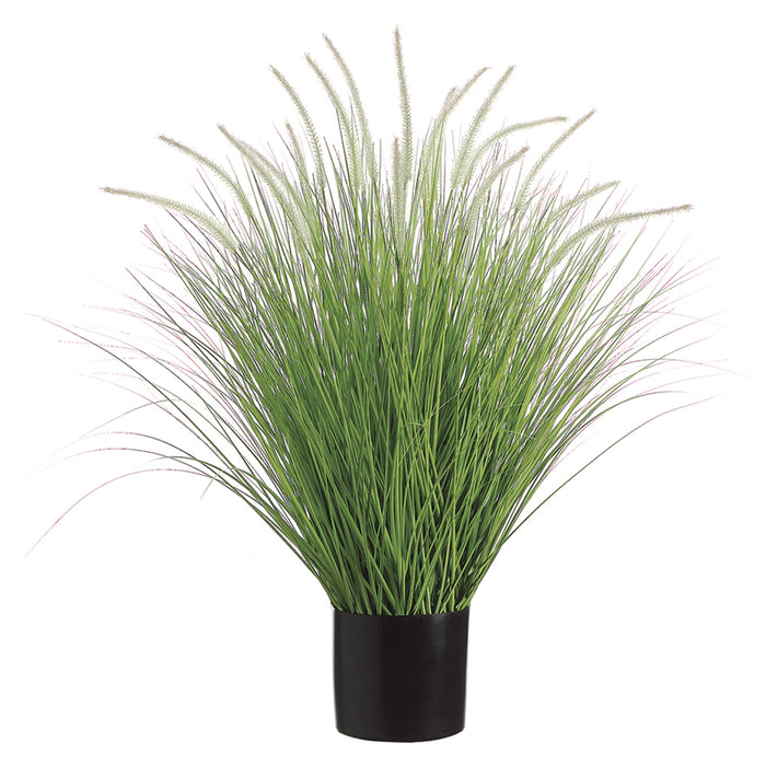 39" Dog Tail Grass Artificial Plant w/Pot -Green/Cream (pack of 2) - LQG755-GR/CR