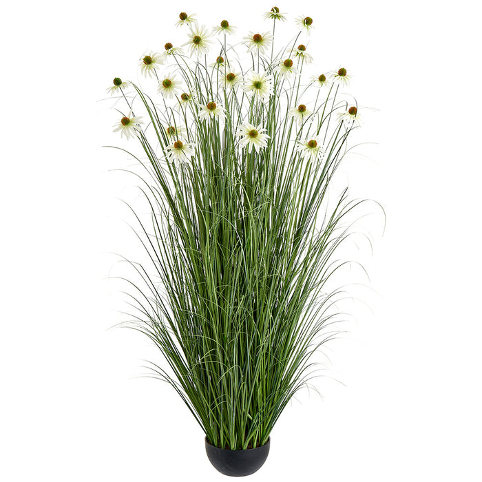 5'11" Black-Eyed Susan Flowering Grass Artificial Plant w/Plastic Pot -White (Pack of 2) - LQG807-WH