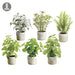 10.5" Set Of Silk Herb Garden Plants w/Clay Pots -Green/Gray (pack of 2) - LQH007-GR/GY