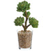 10" Hen & Chick Succulent Artificial Plant w/Glass Vase -Green (Pack of 4) - LQH020-GR