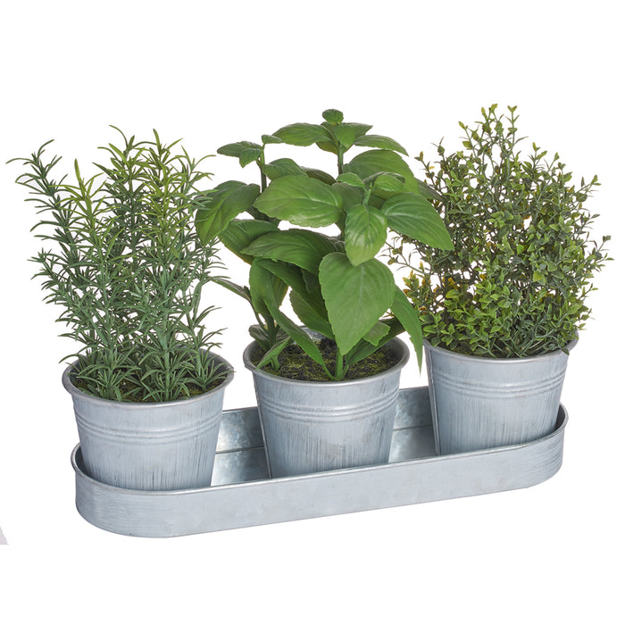 9" Mixed Herb Plants w/Tin Pots & Tray -Green (Pack of 2) - LQH086-GR