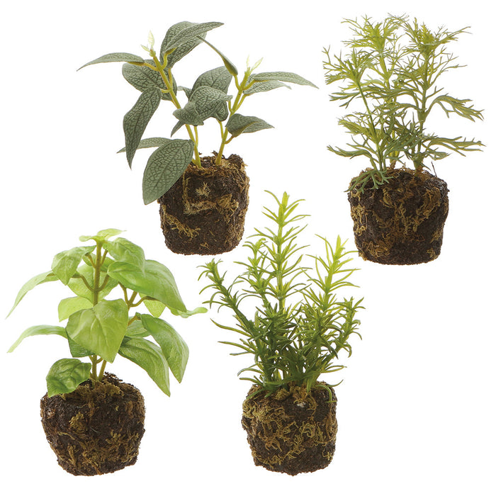 6" Set Of Assorted Herb Artificial Plants w/Soil -Green/Gray (Pack of 3) - LQH741-GR/GY