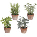 7.5" Set Of Assorted Herb Artificial Plants w/Clay Pots -Green/Gray (Pack of 3) - LQH751-GR/GY