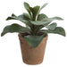 12" Kalanchoe Succulent Artificial Plant w/Clay Pot -Green (Pack of 4) - LQK732-GR