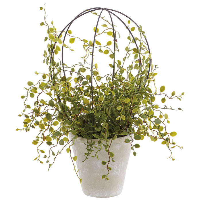 15" PE Muehlenbeckia Wire Silk Plant w/Cement Pot -Green (Pack of 2) - LQM441-GR