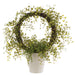 21" PE Muehlenbeckia Wire Silk Plant w/Cement Pot -Green - LQM442-GR