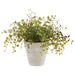 11" PE Muehlenbeckia Wire Silk Plant w/Cement Pot -Green (Pack of 2) - LQM443-GR