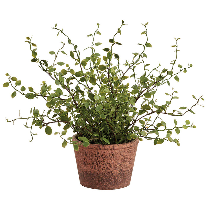 10.5" Muehlenbeckia Wire Silk Plant w/Papier Mache Pot -Green (Pack of 6) - LQM510-GR