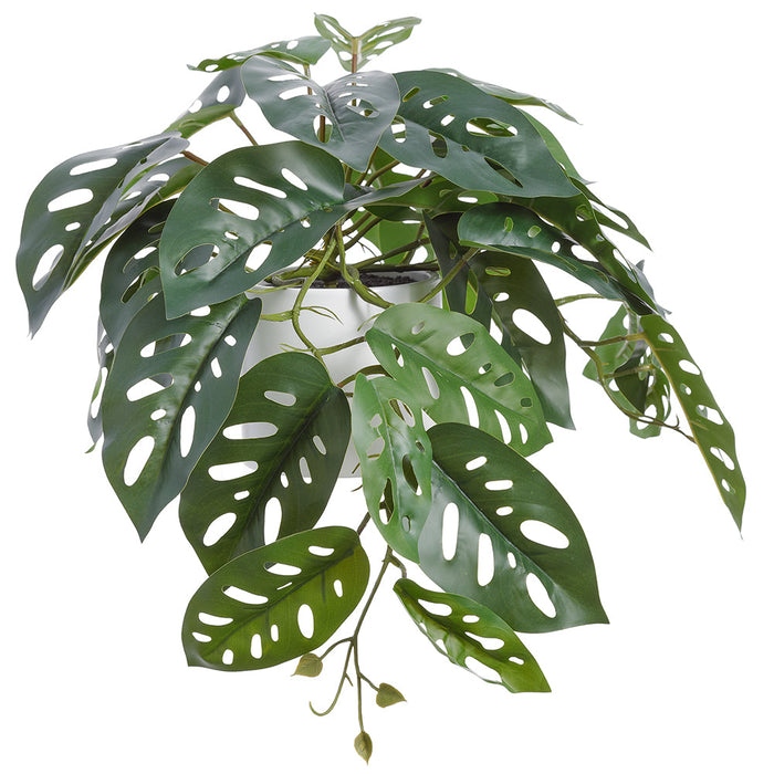 10" Split Philodendron Monstera Obliqua Silk Plant w/Terra Cotta Pot -Green (Pack of 4) - LQM725-GR
