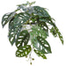10" Split Philodendron Monstera Obliqua Silk Plant w/Terra Cotta Pot -Green (Pack of 4) - LQM725-GR