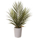 14" Areca Silk Palm Plant w/Mgo Pot -Green (pack of 4) - LQP117-GR