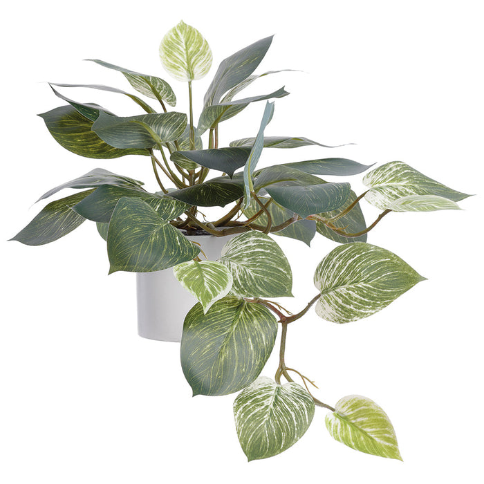 14" Hanging Philodendron Leaf Silk Plant w/Terra Cotta Pot -Green/Variegated (Pack of 4) - LQP726-GR/VG