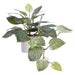 14" Hanging Philodendron Leaf Silk Plant w/Terra Cotta Pot -Green/Variegated (Pack of 4) - LQP726-GR/VG