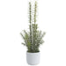 17" Rosemary Herb Artificial Plant w/Cement Pot -Green/Gray (Pack of 4) - LQR860-GR/GY