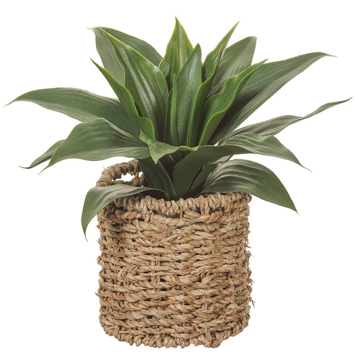 10" Agave Artificial Plant w/Basket -Green (pack of 4) - LQS005-GR