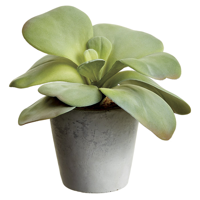 6" Soft Artificial Kalanchoe Plant w/Cement Pot -Green/Gray (pack of 6) - LQS009-GR/GY