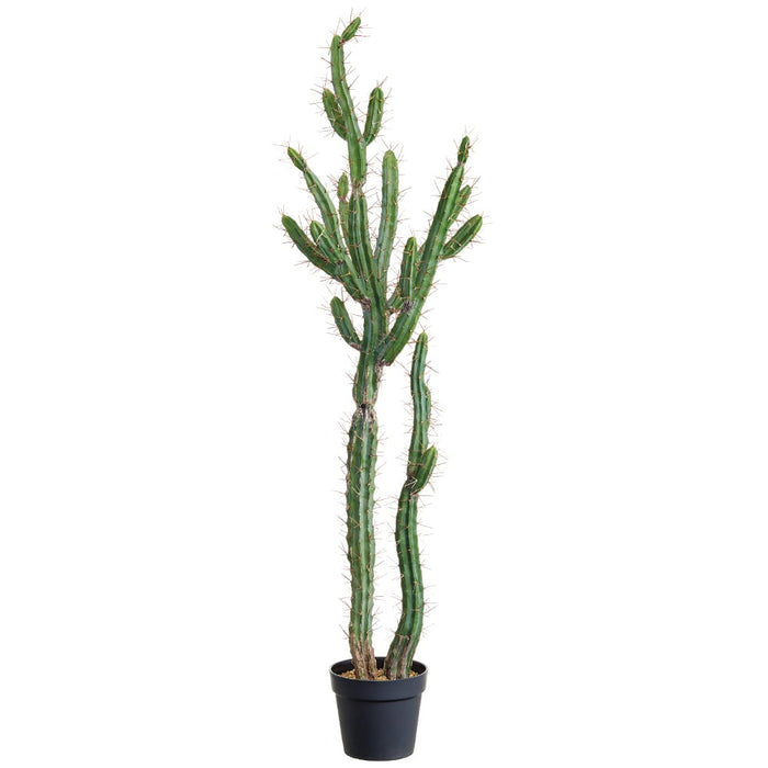 peruvian succulents 57.5" Artificial Peruvian Cactus w/Pot -Green