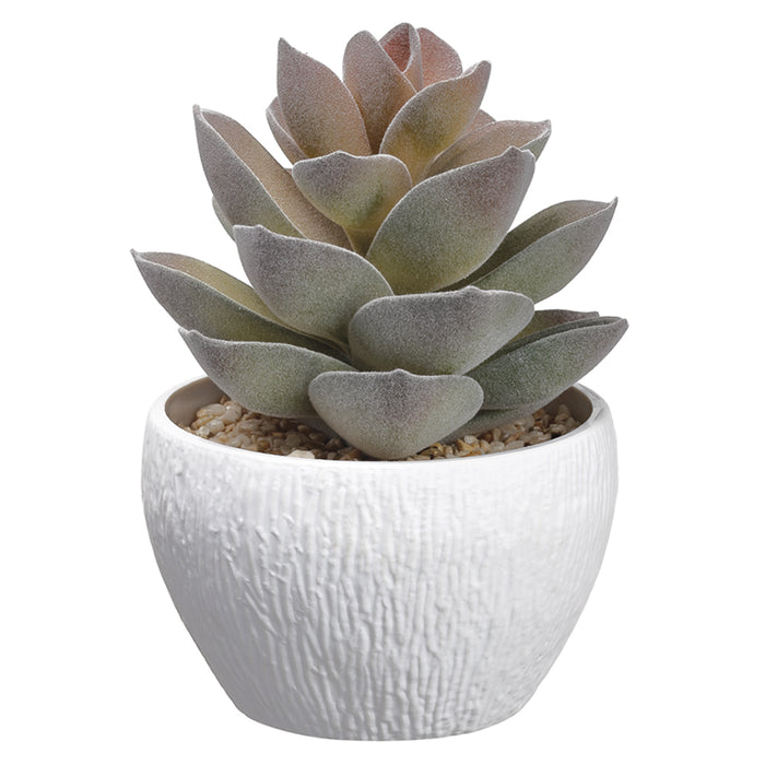 7" Artificial Agave Plant w/Plastic Pot -Green/Gray (pack of 4) - LQS039-GR/GY